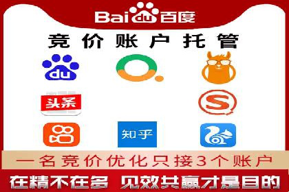 竞价推广代运营：成功案例解析